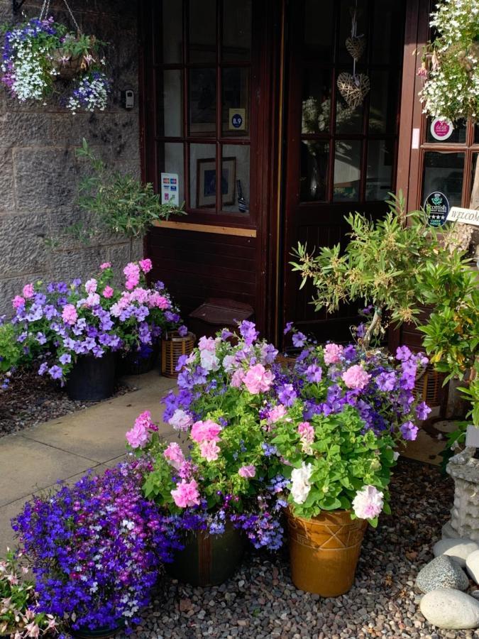 The Old Station Guest House St Andrews Exterior foto